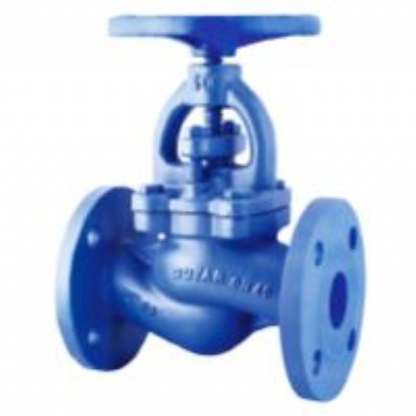 DN100 PN16 Flanşlı Glob Vana DUYAR
