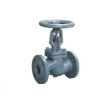 DN40 PN16 Flanl Glob Vana TERMO
