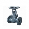 DN80 PN40 Flanl Glob Vana TERMO