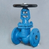 DN65 PN16 Flanl Metal Krkl Glob Vana TERMO